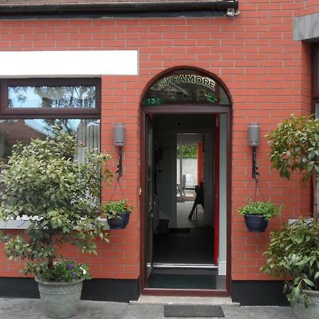 Sycamore House B&B Дублин Экстерьер фото