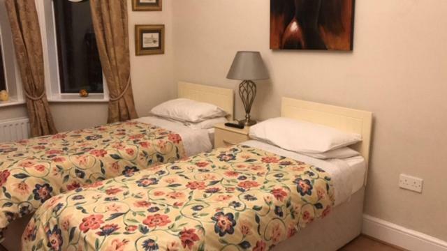 Sycamore House B&B Дублин Экстерьер фото